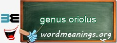 WordMeaning blackboard for genus oriolus
